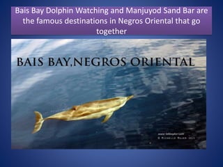 Bais Bay Dolphin Watching and Manjuyod Sand Bar are
the famous destinations in Negros Oriental that go
together
 