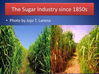 The Sugar Industry since 1850s
• Photo by Jojo T. Larena
 