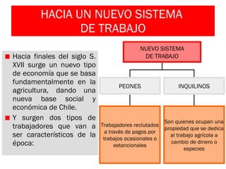 HACIA UN NUEVO SISTEMA  DE TRABAJO Hacia finales del siglo S. XVII surge un nuevo tipo de economía que se basa fundamentalmente en la agricultura, dando una nueva base social y económica de Chile.  Y surgen dos tipos de trabajadores que van a ser característicos de la época: NUEVO SISTEMA DE TRABAJO PEONES INQUILINOS Trabajadores reclutados a través de pagos por trabajos ocasionales o estancionales Son quienes ocupan una propiedad que se dedica al trabajo agrícola a cambio de dinero o especies 