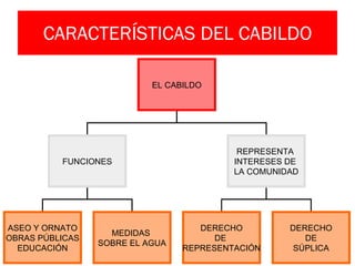 CARACTERÍSTICAS DEL CABILDO EL CABILDO FUNCIONES REPRESENTA  INTERESES DE  LA COMUNIDAD ASEO Y ORNATO OBRAS PÚBLICAS EDUCACIÓN MEDIDAS  SOBRE EL AGUA DERECHO DE  REPRESENTACIÓN DERECHO DE SÚPLICA 