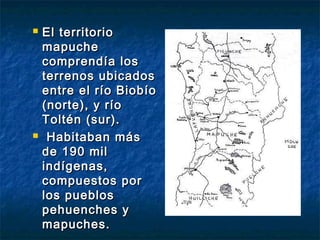    El territorio
    mapuche
    comprendía los
    terrenos ubicados
    entre el río Biobío
    (norte), y río
    Toltén (sur).
    Habitaban más
    de 190 mil
    indígenas,
    compuestos por
    los pueblos
    pehuenches y
    mapuches.
 