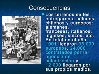 Consecuencias
       Los terrenos se les
        entregaron a colonos
        chilenos y europeos:
        alemanes,
        franceses, italianos,
        ingleses, suizos, etc.
        En total en el año
        1901 llegaron 36.000
        europeos , 24.000
        contratados por la
        agencia de
        colonización y
        12.000 llegaron por
        sus propios medios.
 