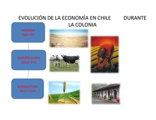 EVOLUCIÓN DE LA ECONOMÍA EN CHILE DURANTE
LA COLONIA
MINERIA
Siglo XVI
AGROPECUARIA
SIGLO XVII
SIGLO XVII
AGRICULTURA
SIGLO XVIII
 