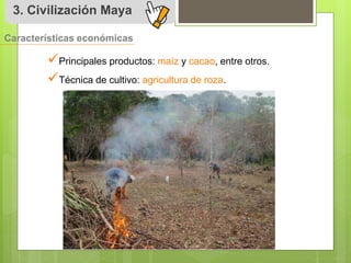3. Civilización Maya 
Características económicas 
 
Principales productos: maíz y cacao, entre otros. 
 
Técnica de cultivo: agricultura de roza. 
 
