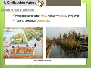 4. Civilización Azteca 
Características económicas 
 
Principales productos: maíz, maguey y cacao, entre otros. 
 
Técnica de cultivo: chinampas. 
Uso de chinampas 
 