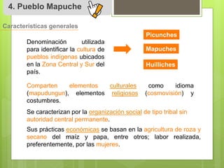 4. Pueblo Mapuche 
Características generales 
Denominación utilizada 
para identificar la cultura de 
pueblos indígenas ubicados 
en la Zona Central y Sur del 
país. 
Picunches 
Mapuches 
Huilliches 
Comparten elementos culturales como idioma 
(mapudungun), elementos religiosos (cosmovisión) y 
costumbres. 
Se caracterizan por la organización social de tipo tribal sin 
autoridad central permanente. 
Sus prácticas económicas se basan en la agricultura de roza y 
secano del maíz y papa, entre otros; labor realizada, 
preferentemente, por las mujeres. 
 