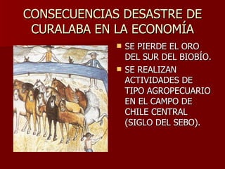CONSECUENCIAS DESASTRE DE CURALABA EN LA ECONOMÍA SE PIERDE EL ORO DEL SUR DEL BIOBÍO. SE REALIZAN ACTIVIDADES DE TIPO AGROPECUARIO EN EL CAMPO DE CHILE CENTRAL (SIGLO DEL SEBO). 