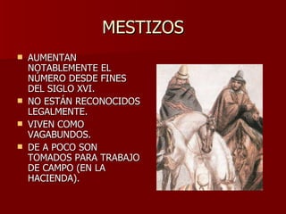 MESTIZOS AUMENTAN NOTABLEMENTE EL NÚMERO DESDE FINES DEL SIGLO XVI. NO ESTÁN RECONOCIDOS LEGALMENTE. VIVEN COMO VAGABUNDOS. DE A POCO SON TOMADOS PARA TRABAJO DE CAMPO (EN LA HACIENDA). 