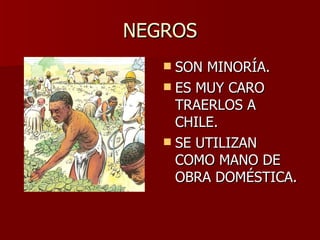 NEGROS SON MINORÍA. ES MUY CARO TRAERLOS A CHILE. SE UTILIZAN COMO MANO DE OBRA DOMÉSTICA. 