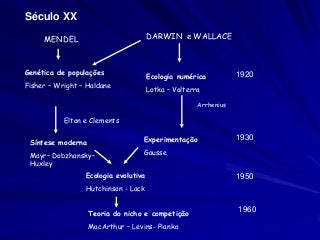 Século XX

     MENDEL                           DARWIN e WALLACE



Genética de populações
                                      Ecologia numérica          1920
Fisher – Wright – Haldane
                                      Lotka – Volterra

                                                     Arrhenius

           Elton e Clements


 Síntese moderna                   Experimentação                1930

 Mayr– Dobzhansky–                 Gausse
 Huxley
                 Ecologia evolutiva                              1950
                 Hutchinson - Lack

                                                                 1960
                   Teoria do nicho e competição
                   MacArthur – Levins- Pianka
 
