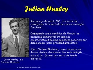 Julian Huxley
                                      Ao começo do século XX, os cientistas
                                      começaram tirar sentido de como a evolução
                                      funciona.

                                      Começando com a genética de Mendel, as
                                      pesquisas demonstraram como as
                                      características de uma população poderiam ser
                                      selecionadas pelas pressões ambientais.

                                      •Essa Síntese Moderna, como chamado por
                                      Julian Huxley, devolveu a teoria da seleção
                                      natural de Darwin’ ao centro da teoria
  Julian Huxley e a                   evolutiva.
Sintese Moderna

              en.wikipedia.org/wiki/Image:Hux-Oxon-72.jpg
 
