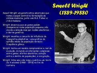 Sewell Wright
Sewall Wright um geneticistica americano que
   tomou o papel central na formulação da
                                                    (1889-19880
   síntese moderna, junto com R.A. Fisher e
   J.B.S Haldane.
Wright observou que os genes podem
   desaparecer numa população pequena, não
   devido a seleção mas por razões aleatórias -
   a deriva genética.
Wright inventou o conceito de influência da
   topografia adaptativa – uma gráfica do
   aptidão média da população versus a
   freqüência gênica.
Wright tentou um modelo compreensivo e real da
   evolução, incluindo as interações complexas
   entre genes, efeitos aleatórios, seleção
   entre e dentro de populações, e a migração.
Wright tinha uma vida longa e publicou um texto
   de 4 volumes (1968 - 1978) no fim da
   carreira.
 