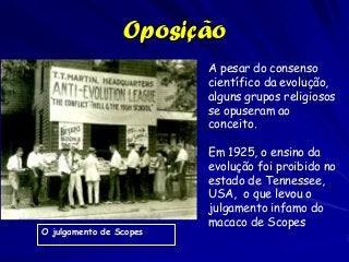 Oposição
                         A pesar do consenso
                         científico da evolução,
                         alguns grupos religiosos
                         se opuseram ao
                         conceito.

                         Em 1925, o ensino da
                         evolução foi proibido no
                         estado de Tennessee,
                         USA, o que levou o
                         julgamento infamo do
                         macaco de Scopes
O julgamento de Scopes
 