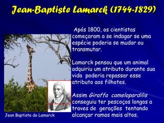 No fim do século 18
      Dois ideias fundamentais para a compreensão
de padrões de diversidade




“Centros de Origem” y dispersão
“Fatores ecológicos contribuem a explicar os padrões de distribuição”
 