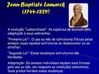 Johann Reinhold Forster (1729-1798)
                                                    Concepção holística
                                                    Reconhecimento de
                                                    unidades biogeográficas
                                                    Explicação baseada em
                                                    princípios universais


                                                    Distribuição desigual do
                                                    calor calor sobre a
                                                    superfície terrestre
                                                    explica as diferencias
                                                    da diversidade entre os
                                                    trópicos regiões
                                                    temperadas e frias

Teoria do calor central: o planeta se esfriou de um estado de incandescência
e a distribuição desigual do calor sobre a Terra se refletia na natureza. O
calor tinha a capacidade (esotérica) de gerar a variedade.
 
