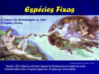 Espécies Fixas
O fresco de Michelangelo no teto
a Capela Sistina




                                                       en.wikipedia.org/wiki/The_Creation_of_Adam

   Desde a Era Clássica até bem depois do Renascença as espécies eram
  consideradas como criações especiais, fixadas por eternidade.
 