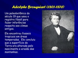 Augustin P de Candolle (1778– 1840)
          .


             Retoma o interesse na
               explicação de padrões.
             Revaloriza o papel da
               estatística para analise de
               dados que podem revelar as
               causas subjacentes aos
               padrões observados



 Geographie botanique raisonnée
 