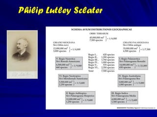 Registro Fóssil




     © NASA

origem         bactéria      Célula complexa    Dinossauro         Homem
O registro fóssil demonstra uma sequencia desde a bactéria simples a organismos
mais complexos no tempo e proporciona uma evidencia mais forte da evolução.
 