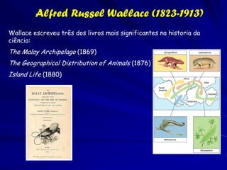 Thomas Malthus (1766-1834)
– “Em outubro de 1838, ou seja quinze meses após do
 começo de minhas pesquisas sistemáticas, por
 acaso estudei o texto de Malthus sobre
 Populações, e preparado para apreciar a luta para a
 existência que constate nas minhas observações
 contínuas dos atributos de animais e plantas, pense
 que sob essas circunstâncias as variações
 favoráveis teriam tendência de serem preservadas,
 e as variações não favoráveis seriam destruídas. O
 resultado disso seria a formação de uma espécie
 nova. Agora tinha uma teoria com que trabalhar".


Charles Darwin, de sua autobiografia. (1876)
 