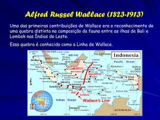 Étienne Geoffroy St. Hilaire
                (1772-1844)
St. Hilaire fez a pergunta: “A organização dos
    animais vertebrados pode ser de um tipo
    uniforme único?" Segundo Geoffroy a
    resposta foi sim. Ele achou que todos os
    vertebrados são modificações de um
    arquétipo único, uma forma única.
Os órgãos vestigiais e as transformações
   embrionias podem não servir qualquer
   função, mas indicam uma derivação comum
   de um animal do seu arquétipo.
Cuvier não concordou “Se existe similaridade
   entre os órgãos dos peixes e aqueles das
   outras classes de vertebrados, é somente
   porque existe uma similaridade de suas
   funções
 