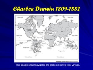 Richard Owen (1804-1892)




        Arquétipo dos
     Vertebrados de Owen
 