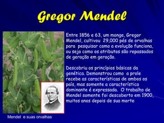 Alfred Russel Wallace (1823-1913)
Uma das primeiras contribuições de Wallace era o reconhecimento de
uma quebra distinta na composição da fauna entre as ilhas de Bali e
Lombok nas Índias de Leste.
Essa quebra é conhecida como a Linha de Wallace.
 