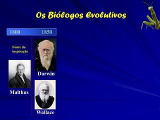 Alfred Russel Wallace (1823-1913)


                                           A amplitude geográfica
                                           dos organismos também
                                           nós informa de sua
                                           evolução passada.

                                           Os marsupiais atualmente
   Distribuição atual dos marsupiais       ocorrem nas Américas e
                                           na Austrália.

                                           Esse padrão demonstra
                                           que os marsupiais
                                           evoluíram antes da
                                           separação dos
Período Jurássico há 160 milhões de anos   continentes
 