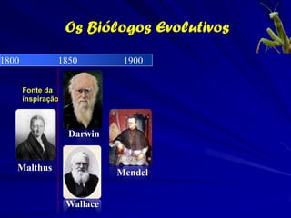 Alfred Russel Wallace (1823-1913)
Tradição de Darwin e Wallace para explicar as disjunções
geográficas baseadas no conceito de centro de origem e dispersão a
larga distancia.
Domina a conceição clássica “dispersalista” na biogeografia histórica
até quase a metade do século XX.
 