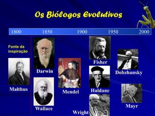 Charles Darwin (1809-1882)


       Responde ao problema
       filosófico formulado por
       Augustin P. de Candolle
       (habitações)
       A origem das espécies é por a
       seleção natural
       As similaridades entre as
       biotas do hemisfério sul se
       deve a herança.
 