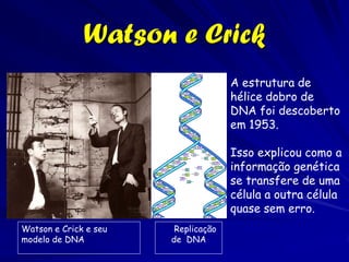 Charles Darwin 1809-1882




 The Beagle circumnavigated the globe on its five year voyage.
 