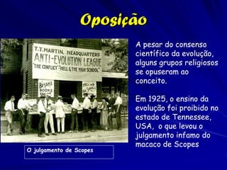 Gregor Mendel
                         Entre 1856 e 63, um monge, Gregor
                         Mendel, cultivou 29,000 pés de orvalhas
                         para pesquisar como a evolução funciona,
                         ou seja como os atributos são repassados
                         de geração em geração.

                         Descobriu os princípios básicas da
                         genética. Demonstrou como a prole
                         recebe as características de ambos os
                         país, mas somente a característica
                         dominante é expressada. O trabalho de
                         Mendel somente foi descoberto em 1900,
                         muitos anos depois de sua morte


Mendel e suas orvalhas
 