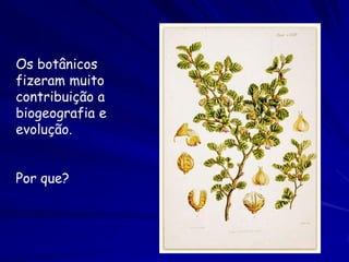 Ernst Haeckel (1834-1919)
Haeckel foi um dos muitos
  pensadores que acreditou que
  toda espécie é uma entidade
  históri...