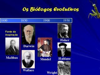 Os Biólogos Evolutivos
1800           1850        1900         1950


  Fonte da
  inspiração

                           ...