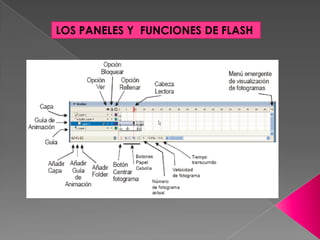 LOS PANELES Y FUNCIONES DE FLASH
 