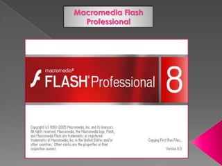 Macromedia Flash
  Professional
 