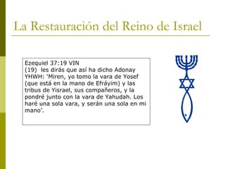 La Restauración del Reino de Israel Ezequiel 37:19 VIN (19)  les dirás que así ha dicho Adonay YHWH: ‘Miren, yo tomo la vara de Yosef (que está en la mano de Efráyim) y las tribus de Yisrael, sus compañeros, y la pondré junto con la vara de Yahudah. Los haré una sola vara, y serán una sola en mi mano’. 