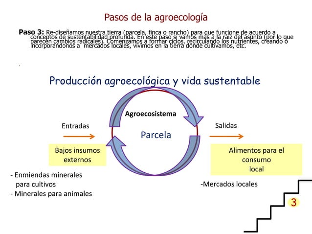 Historia De La Agricultura Pptx