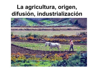 La agricultura, origen,
difusión, industrialización
 