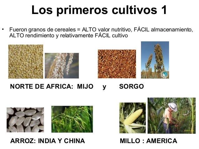 Historia de la agricultura