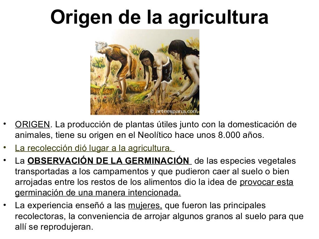 Historia de la agricultura Historia de la agricultura