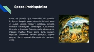 Época Prehispánica
Entre las plantas que cultivaron los pueblos
indígenas, las principales, después del maíz, eran
el cacao, vainilla, maguey, calabaza, cebolla,
chayote, chilacayote, verdolagas, huauzontles,
jitomate, entre otras. Además, en la alimentación
incluían muchas frutas como tuna, capulín,
tejocote, chirimoya, nanche, guayaba, zapote
negro y blanco, anona (piña), aguacate, mamey y
otras.
 
