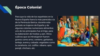 Época Colonial
Para que la vida de los españoles en la
Nueva España fuera lo más parecida a la
de la Península Ibérica, durante este
periodo se trajeron de España y de
algunas colonias numerosos alimentos;
uno de los principales fue el trigo, para
la elaboración de hostias y pan. Otros
cultivos que se introdujeron fueron:
granos como arroz, centeno, garbanzo,
lenteja, avena y cebada; vegetales como
la zanahoria, col, coliflor, rábano, apio,
perejil, chícharo, etc.
 