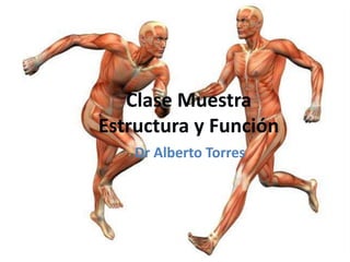 Clase Muestra
Estructura y Función
Dr Alberto Torres
 