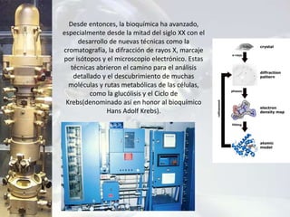 Desde entonces, la bioquímica ha avanzado,
especialmente desde la mitad del siglo XX con el
desarrollo de nuevas técnicas como la
cromatografía, la difracción de rayos X, marcaje
por isótopos y el microscopio electrónico. Estas
técnicas abrieron el camino para el análisis
detallado y el descubrimiento de muchas
moléculas y rutas metabólicas de las células,
como la glucólisis y el Ciclo de
Krebs(denominado así en honor al bioquímico
Hans Adolf Krebs).
 