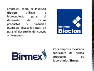Historia de la biotecnologia y biotecnología en México. | PPTX