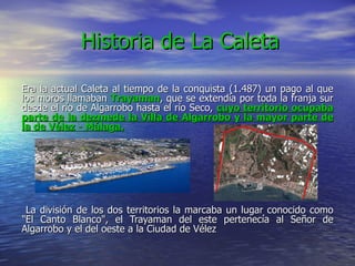 Historia de La Caleta

Era la actual Caleta al tiempo de la conquista (1.487) un pago al que
los moros llamaban Trayaman, que se extendía por toda la franja sur
desde el río de Algarrobo hasta el río Seco, cuyo territorio ocupaba
parte de la dezmede la Villa de Algarrobo y la mayor parte de
la de Vélez - Málaga.




 La división de los dos territorios la marcaba un lugar conocido como
"El Canto Blanco", el Trayaman del este pertenecía al Señor de
Algarrobo y el del oeste a la Ciudad de Vélez
 