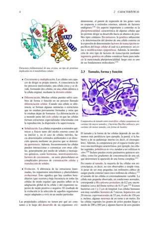 4 2 CARACTERÍSTICAS
Estructura tridimensional de una enzima, un tipo de proteínas
implicadas en el metabolismo celular.
• Crecimiento y multiplicación. Las células son capa-
ces de dirigir su propia síntesis. A consecuencia de
los procesos nutricionales, una célula crece y se di-
vide, formando dos células, en una célula idéntica a
la célula original, mediante la división celular.
• Diferenciación. Muchas células pueden sufrir cam-
bios de forma o función en un proceso llamado
diferenciación celular. Cuando una célula se dife-
rencia, se forman algunas sustancias o estructuras
que no estaban previamente formadas y otras que
lo estaban dejan de formarse. La diferenciación es
a menudo parte del ciclo celular en que las células
forman estructuras especializadas relacionadas con
la reproducción, la dispersión o la supervivencia.
• Señalización. Las células responden a estímulos quí-
micos y físicos tanto del medio externo como de
su interior y, en el caso de células móviles, ha-
cia determinados estímulos ambientales o en direc-
ción opuesta mediante un proceso que se denomi-
na quimiotaxis. Además, frecuentemente las células
pueden interaccionar o comunicar con otras célu-
las, generalmente por medio de señales o mensaje-
ros químicos, como hormonas, neurotransmisores,
factores de crecimiento... en seres pluricelulares en
complicados procesos de comunicación celular y
transducción de señales.
• Evolución. A diferencia de las estructuras inani-
madas, los organismos unicelulares y pluricelulares
evolucionan. Esto signiﬁca que hay cambios here-
ditarios (que ocurren a baja frecuencia en todas las
células de modo regular) que pueden inﬂuir en la
adaptación global de la célula o del organismo su-
perior de modo positivo o negativo. El resultado de
la evolución es la selección de aquellos organismos
mejor adaptados a vivir en un medio particular.
Las propiedades celulares no tienen por qué ser cons-
tantes a lo largo del desarrollo de un organismo: evi-
dentemente, el patrón de expresión de los genes varía
en respuesta a estímulos externos, además de factores
endógenos.[18]
Un aspecto importante a controlar es la
pluripotencialidad, característica de algunas células que
les permite dirigir su desarrollo hacia un abanico de posi-
bles tipos celulares. En metazoos, la genética subyacente
a la determinación del destino de una célula consiste en
la expresión de determinados factores de transcripción es-
pecíﬁcos del linaje celular al cual va a pertenecer, así co-
mo a modiﬁcaciones epigenéticas. Además, la introduc-
ción de otro tipo de factores de transcripción mediante
ingeniería genética en células somáticas basta para indu-
cir la mencionada pluripotencialidad, luego este es uno
de sus fundamentos moleculares.[19]
2.3 Tamaño, forma y función
Comparativa de tamaño entre neutróﬁlos, células sanguíneas eu-
cariotas (de mayor tamaño), y bacterias Bacillus anthracis, pro-
cariotas (de menor tamaño, con forma de bastón).
El tamaño y la forma de las células depende de sus ele-
mentos más periféricos (por ejemplo, la pared, si la hu-
biere) y de su andamiaje interno (es decir, el citoesque-
leto). Además, la competencia por el espacio tisular pro-
voca una morfología característica: por ejemplo, las célu-
las vegetales, poliédricas in vivo, tienden a ser esféricas in
vitro.[20]
Incluso pueden existir parámetros químicos sen-
cillos, como los gradientes de concentración de una sal,
que determinen la aparición de una forma compleja.[21]
En cuanto al tamaño, la mayoría de las células son mi-
croscópicas, es decir, no son observables a simple vista.
A pesar de ser muy pequeñas (un milímetro cúbico de
sangre puede contener unos cinco millones de células),[15]
el tamaño de las células es extremadamente variable. La
célula más pequeña observada, en condiciones normales,
corresponde a Mycoplasma genitalium, de 0,2 μm, encon-
trándose cerca del límite teórico de 0,17 μm.[22]
Existen
bacterias con 1 y 2 μm de longitud. Las células humanas
son muy variables: hematíes de 7 micras, hepatocitos con
20 micras, espermatozoides de 53 μm, óvulos de 150 μm
e, incluso, algunas neuronas de en torno a un metro. En
las células vegetales los granos de polen pueden llegar a
medir de 200 a 300 μm y algunos huevos de aves pueden
 