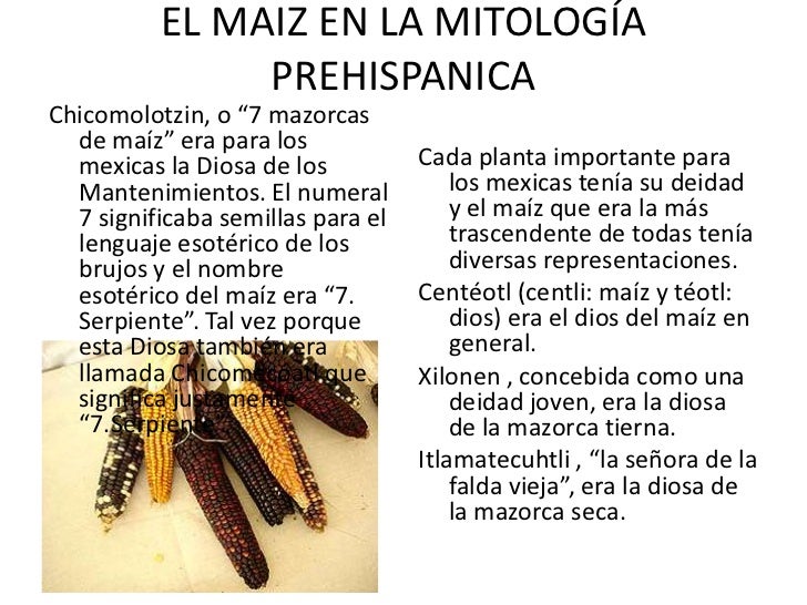 Image Result For Receta De Cocina Prehispanica Del Maiz Image Result For Receta De Cocina Prehispanica Del Maiz