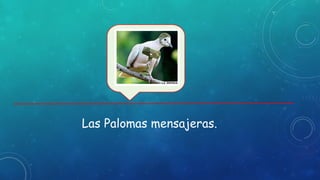 Las Palomas mensajeras.
 