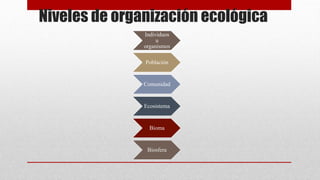 Historia de la Ecología (1).pptx